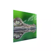 shumee STEKLENA ZAŠČITNA PLOŠČA ZA ŠTEDILNIK 50x52 CROCODILE