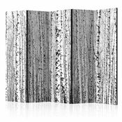 Paravan u 5 dijelova - Birch forest II [Room Dividers] 225x172