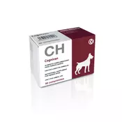 CH | Cognivan Neuroprotect