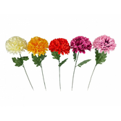 Cvet Krizantema Blossom d15cm 62cm