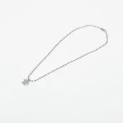 Ogrlica Wasted Paris Splinter Necklace Silver Universal