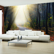 Samoljepljiva foto tapeta - Road through the Forest 147x105