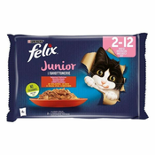 FELIX kesica 4x85g Junior - Govedina i Piletina