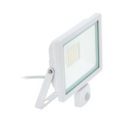 Eglo 64877 - LED Reflektor s senzorjem FILETTI LED/50W/230V 3000K IP44 bela