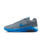 Nike LeBron Witness 9 Basketball Shoes - Grey
