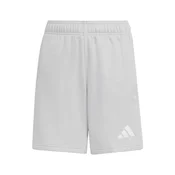ADIDAS PERFORMANCE Športne hlače ENT26 svetlo siva