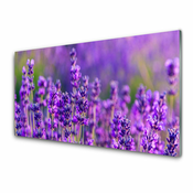 tulup.si Slika na steklu Purple lavender polje 140x70 cm 2 obešalnika