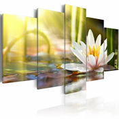 Slika - Sunny Lotus 200x100