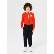 Sinsay - Slim pantalone - crno