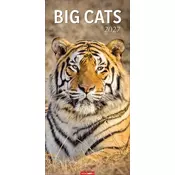 Big Cats Kalender 2027