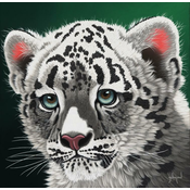 Grafika - Puzzle Schim Schimmel - Mladi leopard - 1 500 dijelova