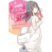 Rascal Does Not Dream of a Dreaming Girl (light novel)