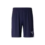 PUMA Športne hlače TeamLIGA26  mornarska / bela