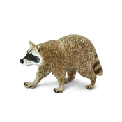 Safari Rakun
