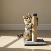 Grebalica za macke Paws & Whiskers, antracit