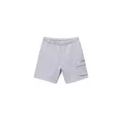 NAPAPIJRI Hlače N-BOX LOGO CARGO  svetlo siva