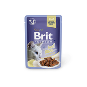 Brit Premium | Adult Fileji govedine v želeju
