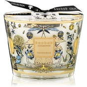 Baobab Collection My First Baobab Tomorrowland dišeča sveča 500 g