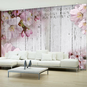 Foto tapeta - Apple Blossoms 150x105