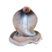 Eleven Target 3D Cobra