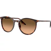 Ray-Ban Naočare za sunce RB 2204 14293B
