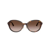 Jimmy Choo Naocare za sunce JC 5044D 500213
