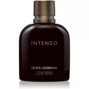 DOLCE & GABBANA moška parfumska voda Pour Homme Intenso 125ml