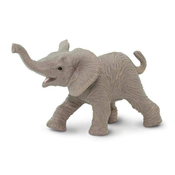 Safari Mláďa slona afrického