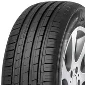 Minerva F209 ( 195/55 R16 87H )
