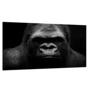 shumee Steklena zaščitna plošča ZA štedilnik 90X52 gorilla