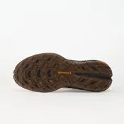 ADIDAS TERREX Nizki čevelj FREEHIKER rjava/kapučino/temno rjava