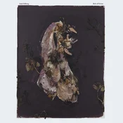 Isak Edberg - Belt Of Orion (LP)
