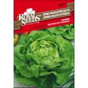 SEME ROYAL SEEDS 92 Solata Nansen