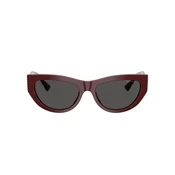 Jimmy Choo Naocare za sunce JC 5034BU 505787