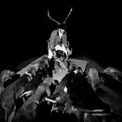 Les Marquises - A Night Full Of Collapses (LP)