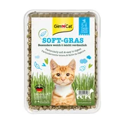 GimCat Soft-Gras - Nežna Mačja Trava 100 g