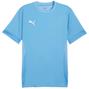 Dre Puma teamGOAL Matchday Jerey