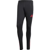 ADIDAS PERFORMANCE Sportske hlace Liverpool FC Tiro 25 Competition Training  crvena / crna