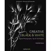 Creative Black and White