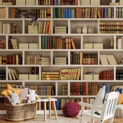 Foto tapeta - Home library 343x256