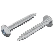 Vidaxl Lesen vijak 2 szt. srebrna M4 x 28 mm elezo