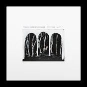 These New Puritans - Crooked Wing (Black Coloured) (LP)