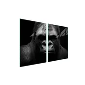 shumee Steklena zaščitna plošča za štedilnik 2x45x52 Gorilla
