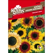 SEME ROYAL SEEDS 98 Sončnica nizka, Twilight Zone
