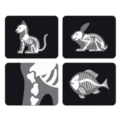 Veterinarski kovček z dodatki