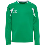 Hummel Dres z dolgimi rokavi Hummel Core 2.0 Long Sleeve Jersey Kids