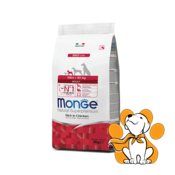 Monge Mini