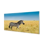 tulup.si Slika na akrilnem steklu Zebra polje 140x70 cm 4 obešalnika