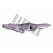 Eleven Target 3D Crocodile Small