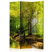 artgeist Paravan Forest Clearing, 3-Delni, Akustičen
